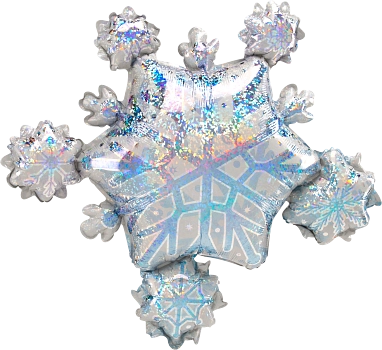 Pkg Prismatic Snowflake Cluster 32"