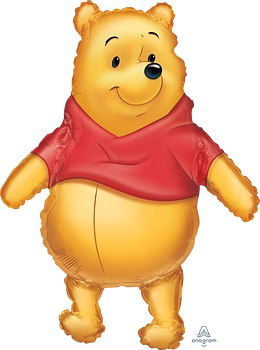 Pkg Winnie the Pooh 22"