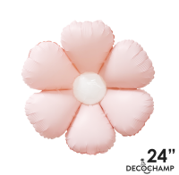 24p.png