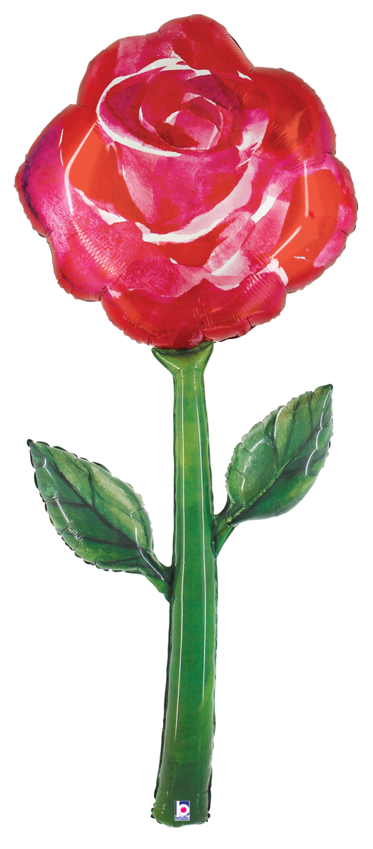 Fresh Pick Watercolor Rose 5'