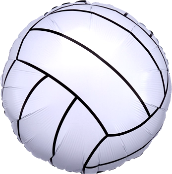 29504-Championship-Volleyball.webp