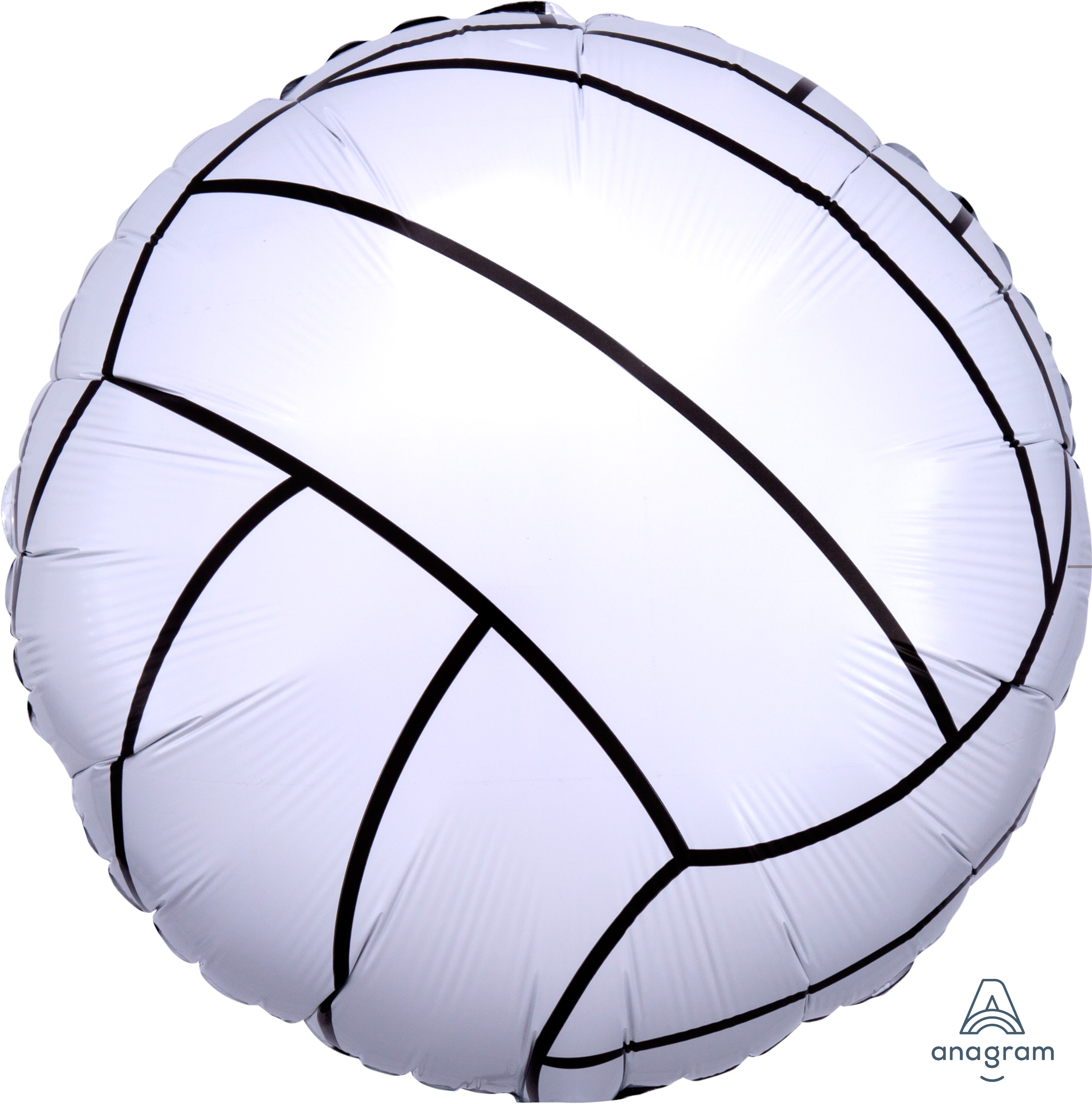 Pkg Championship Volleyball 18"