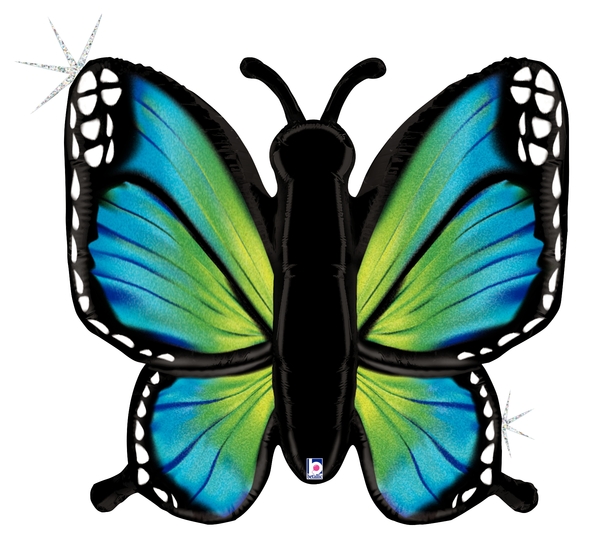 Pkg Radiant Butterfly - Blue 40"