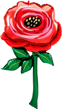 Pkg Painted Rose 55"