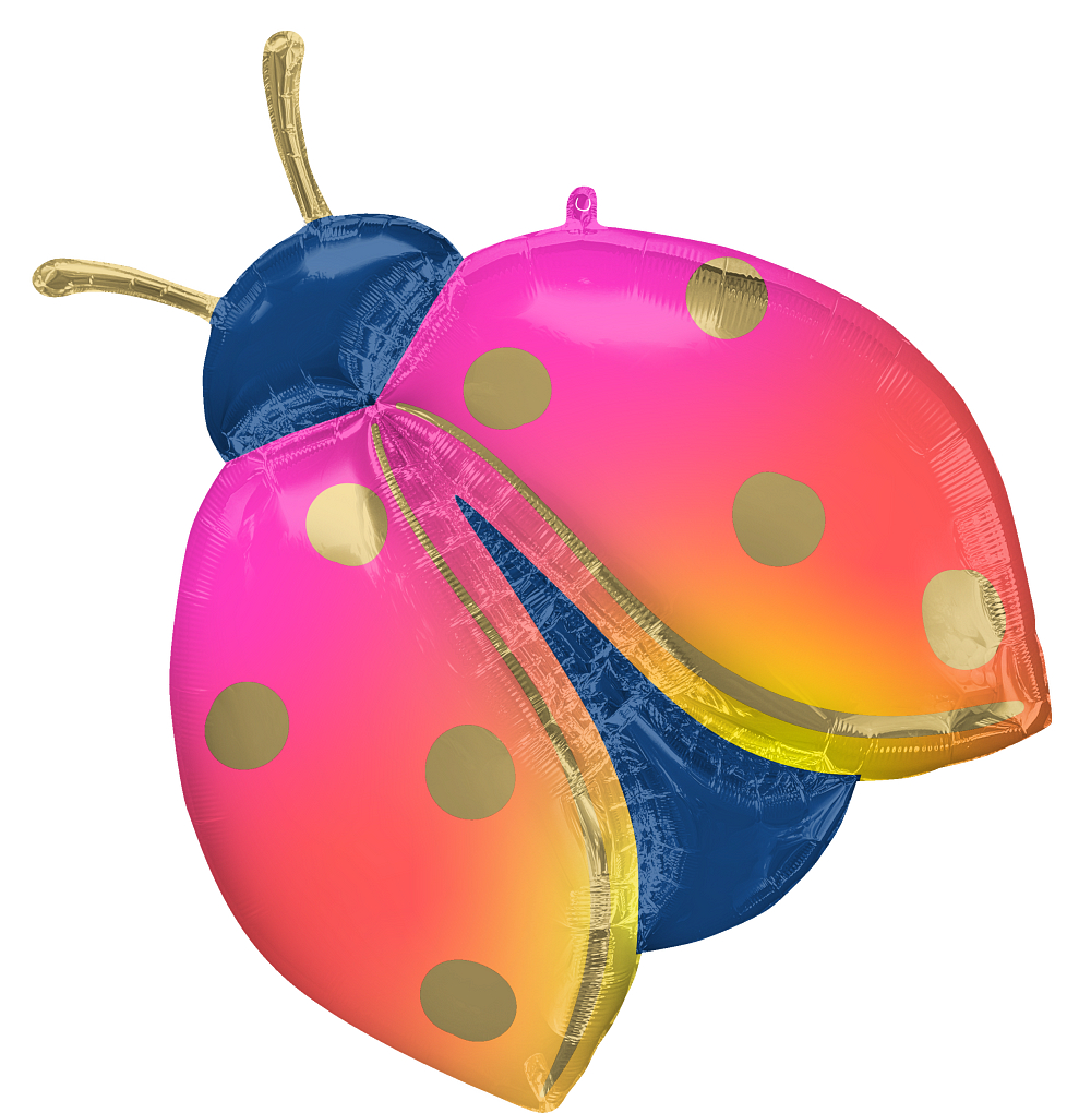 Pkg Colorful Ladybug 33"