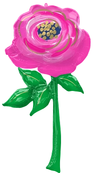 Pkg Pink Rose 55"
