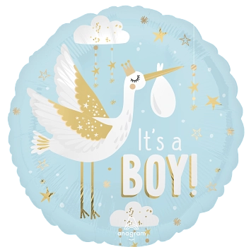 Pkg Special Delivery Baby Boy 18"