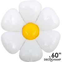 Pkg White Daisy -Xlarge 60"