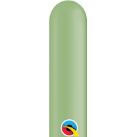 260Q Cactus